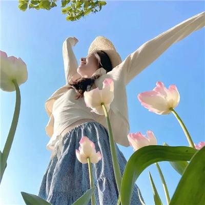 女主播风云