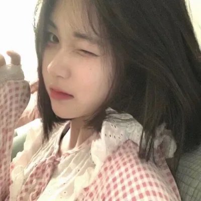 候鸟之爱